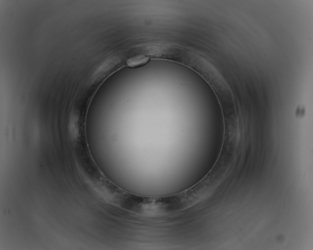 X0000094910216200711291303
