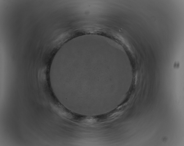X0000094910217200711291303