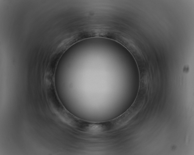 X0000094910218200711291303