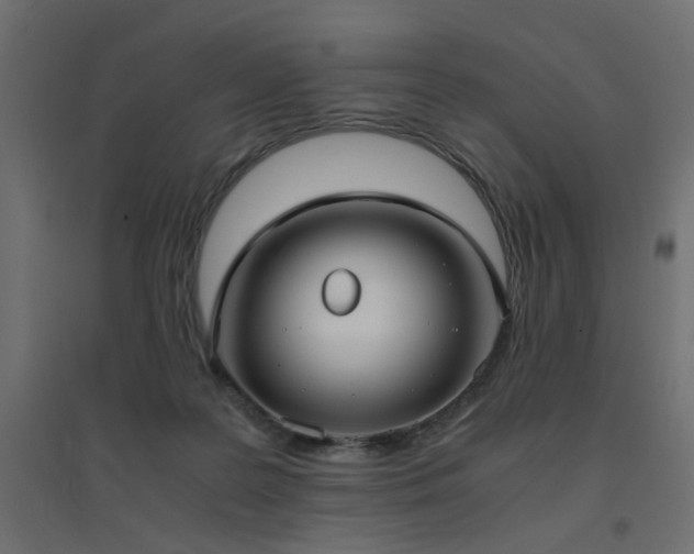 X0000094910219200711291303