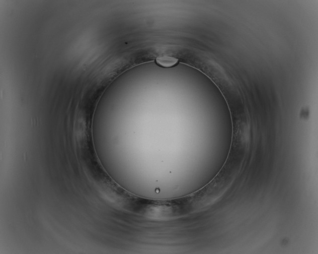 X0000094910220200711291303