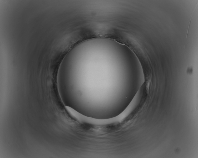 X0000094910221200711291303