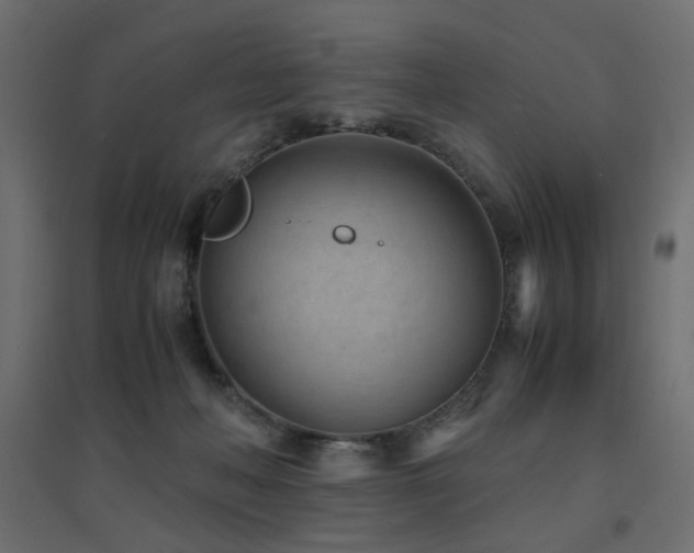 X0000094910222200711291303
