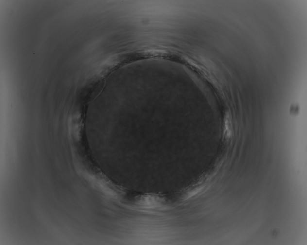 X0000094910223200711291303