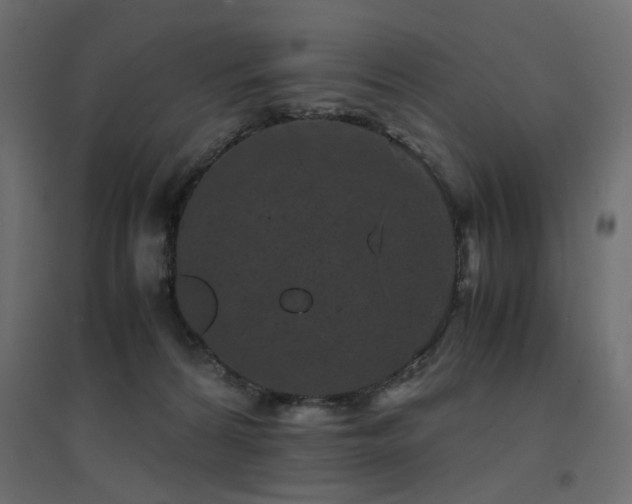 X0000094910224200711291303