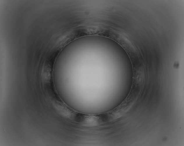 X0000094910226200711291303
