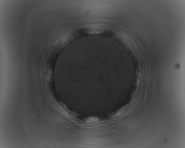 X0000094910227200711291303