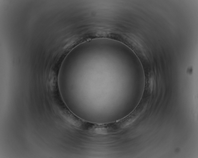 X0000094910228200711291303