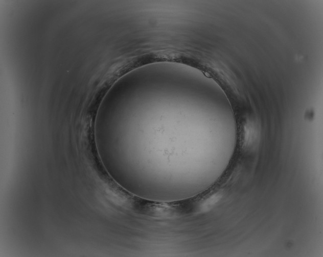 X0000094910229200711291303