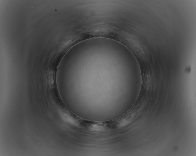 X0000094910232200711291303