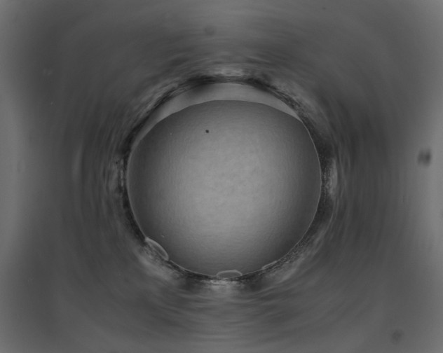 X0000094910233200711291303
