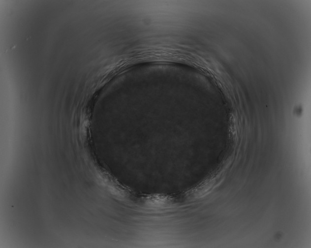 X0000094910235200711291303