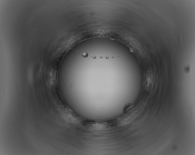 X0000094910236200711291303