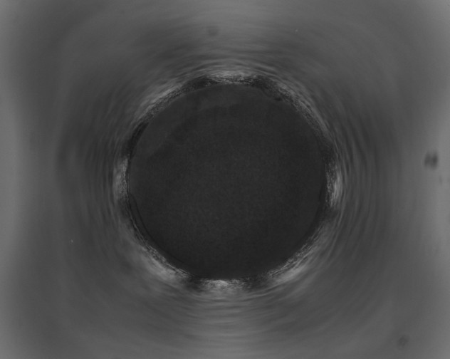 X0000094910239200711291303