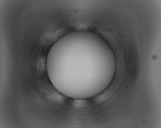 X0000094910240200711291303