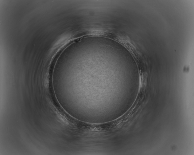 X0000094910243200711291302