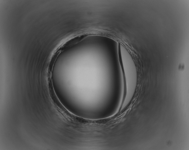 X0000094910244200711291302