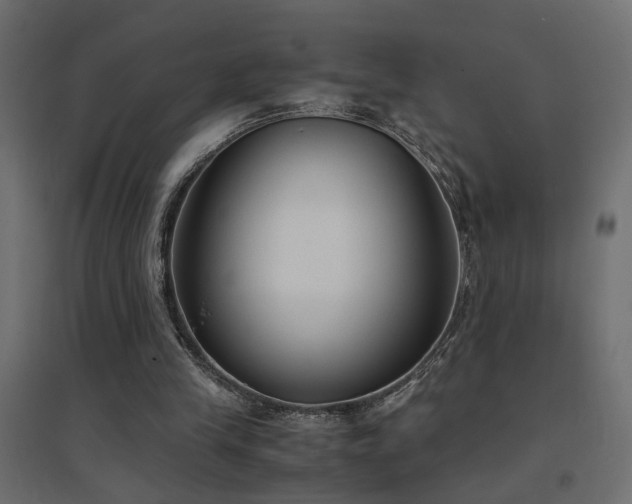 X0000094910245200711291302