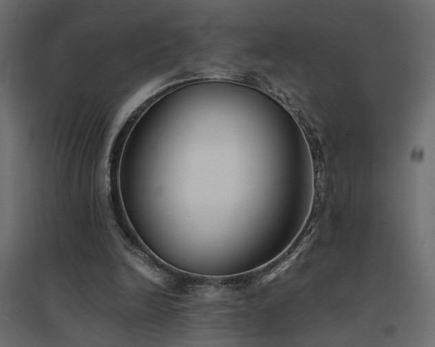 X0000094910246200711291302