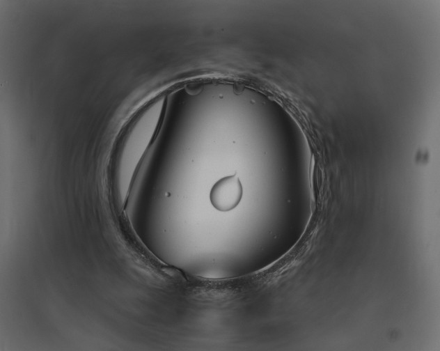 X0000094910247200711291302