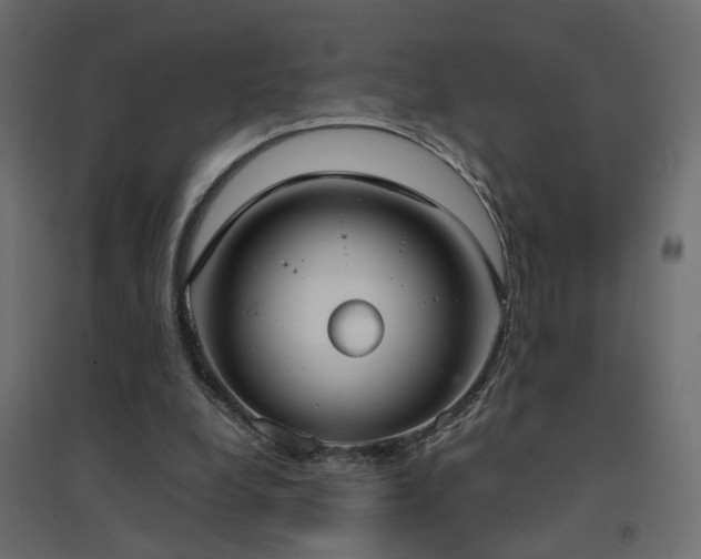 X0000094910248200711291302