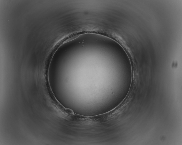 X0000094910249200711291302