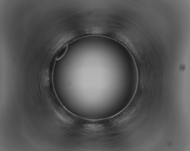 X0000094910251200711291302