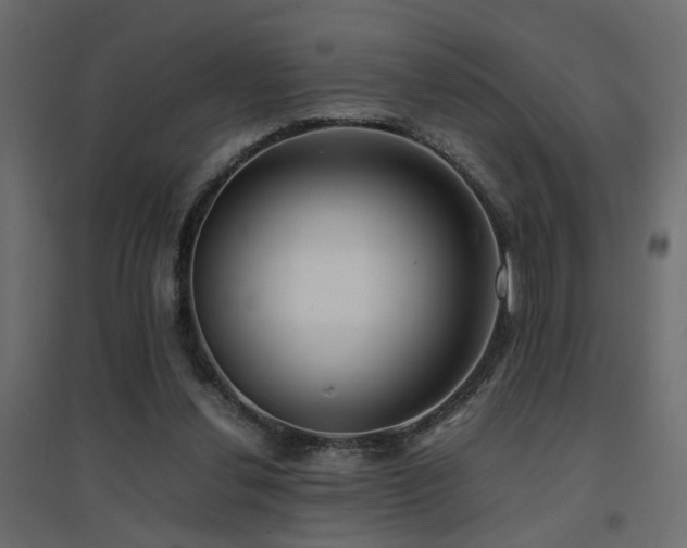 X0000094910252200711291302