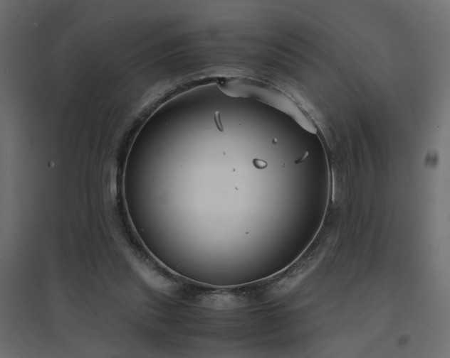 X0000094910253200711291302