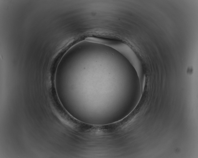 X0000094910254200711291302