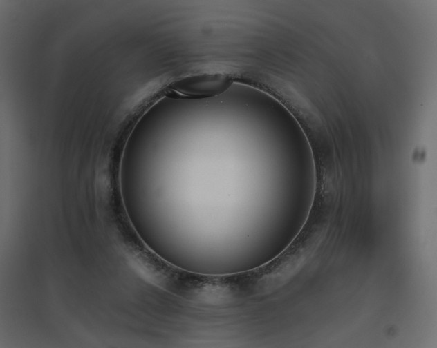 X0000094910256200711291302