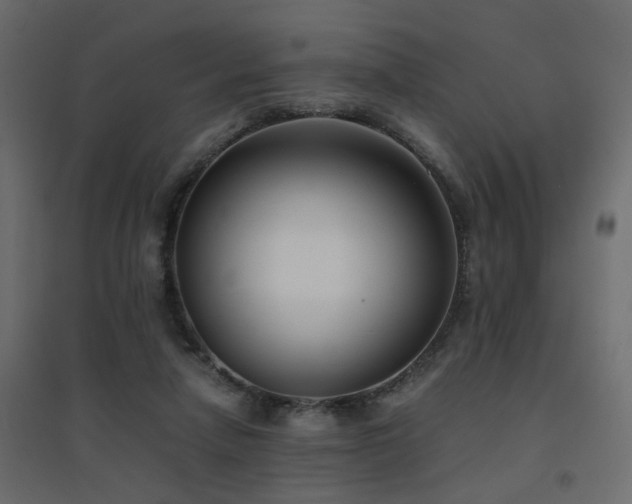 X0000094910258200711291302