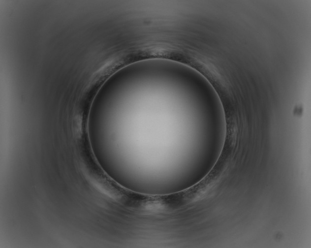 X0000094910262200711291302