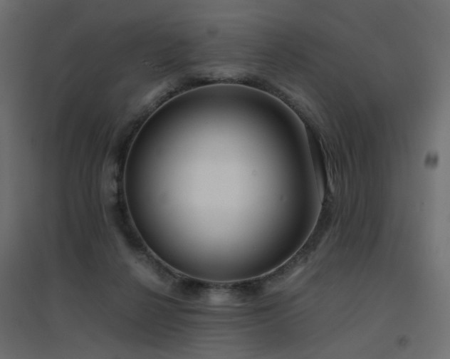 X0000094910264200711291302
