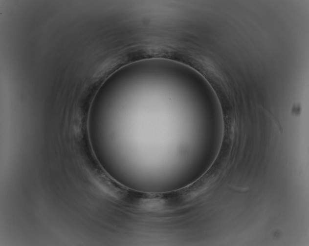 X0000094910266200711291302