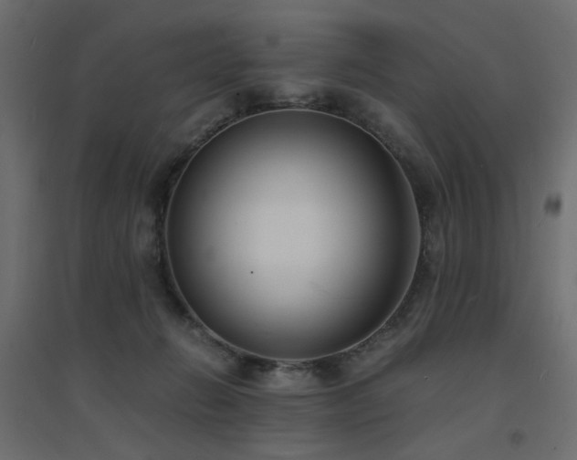 X0000094910270200711291302