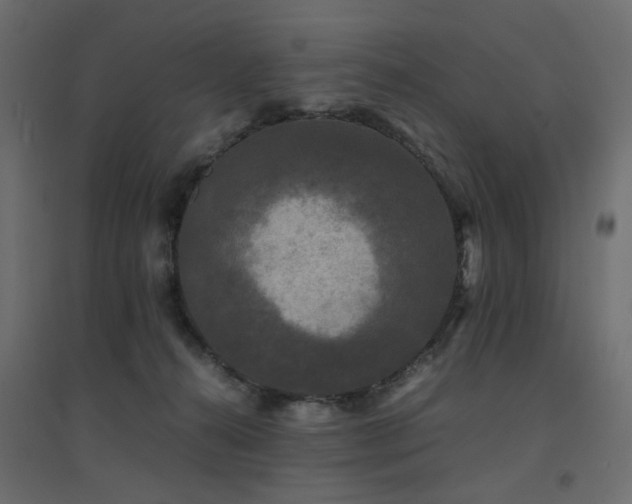 X0000094910272200711291302