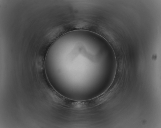 X0000094910273200711291302