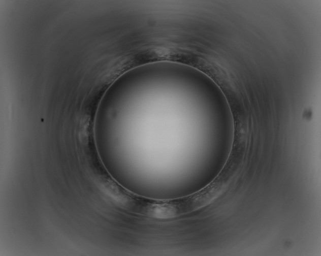 X0000094910275200711291302