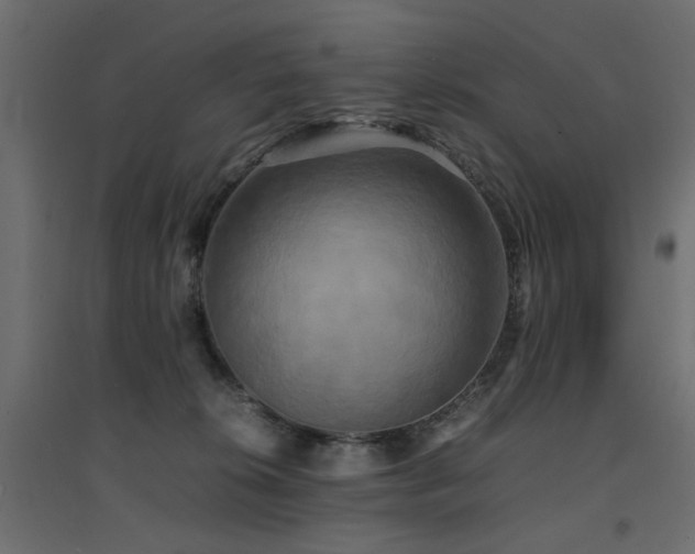 X0000094910276200711291302