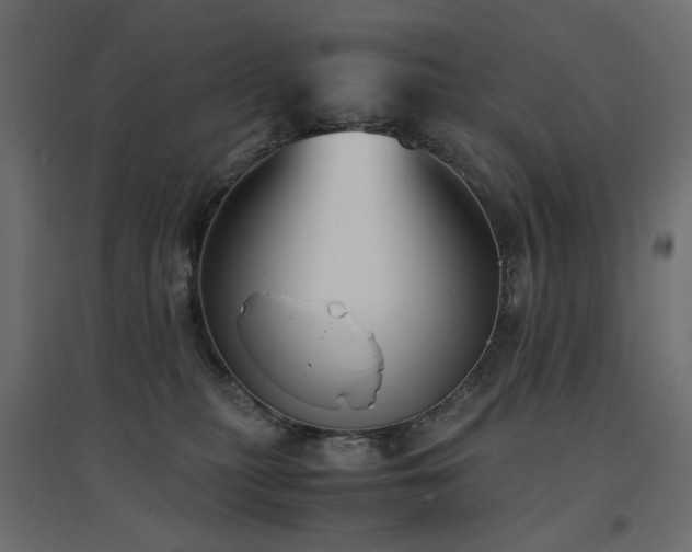 X0000094910279200711291302