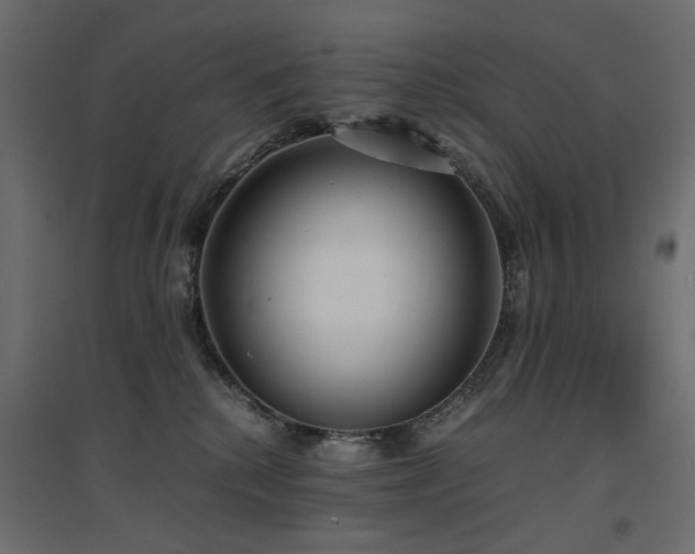 X0000094910280200711291302