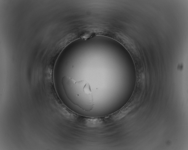 X0000094910281200711291302