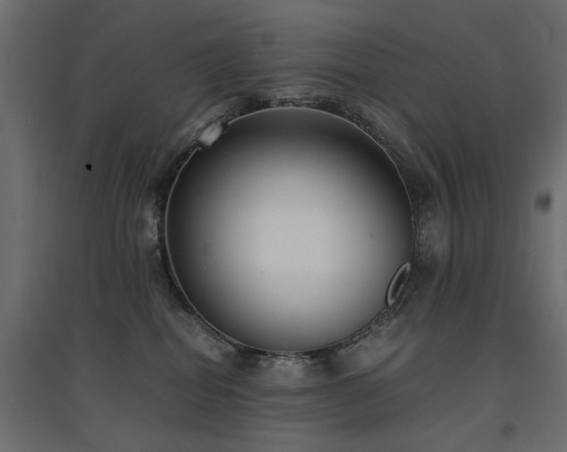 X0000094910282200711291302