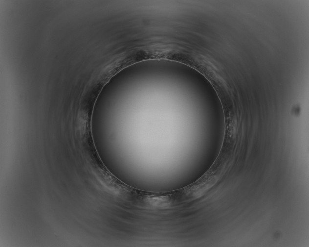 X0000094910283200711291303
