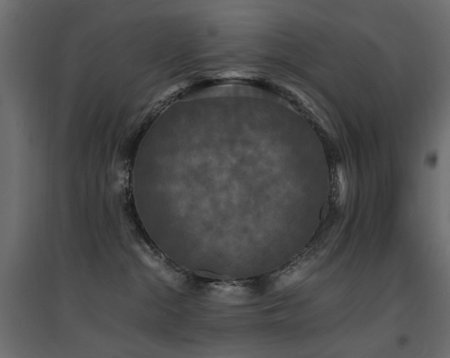 X0000094910284200711291303