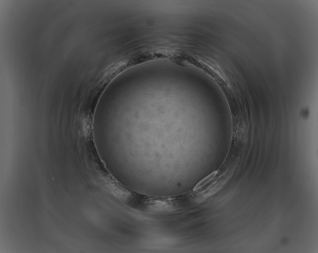 X0000094910285200711291303