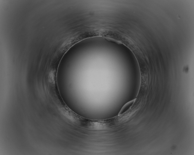 X0000094910286200711291303