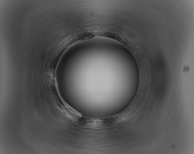 X0000094910288200711291303