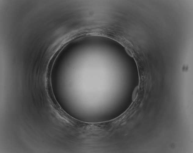 X0000094910290200711291302